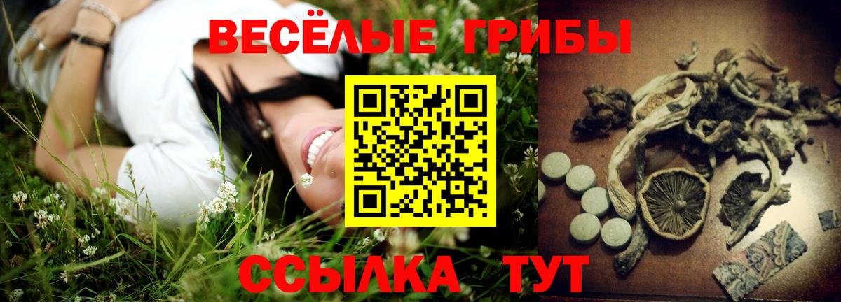 Галлюциногенные грибы мухоморы Советская Гавань